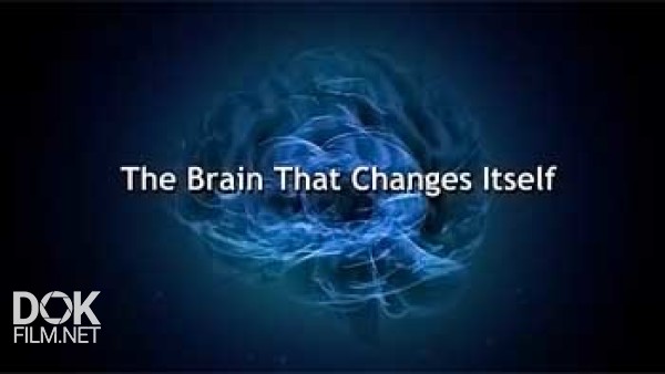 Пластичность Мозга / The Brain That Changes Itself (2008)