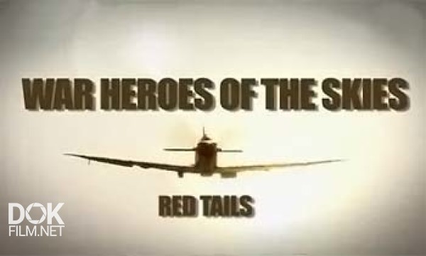 Воздушные Асы Войны. Красные Хвосты / War Heroes Of The Skies. Red Tails (2012)