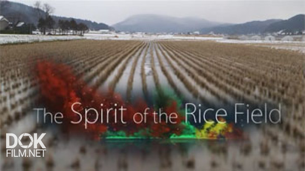 Соединяя Традиции. Дух Рисового Поля / Connecting Traditions. The Spirit Of The Rice Field (2016)