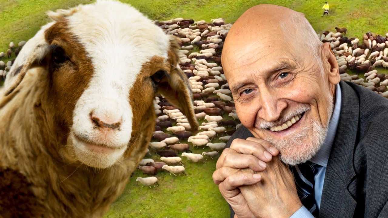 Животные, изменившие мир. Кроткие овцы (2023)