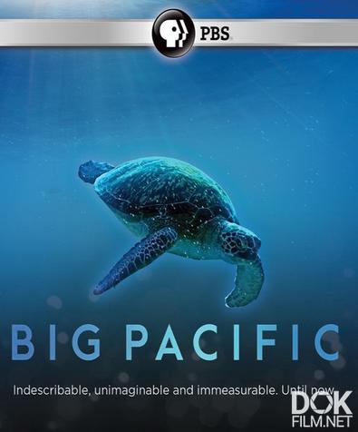 Великий Тихий океан/ Big Pacific (2017)