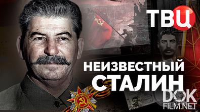Неизвестный Сталин (2023)
