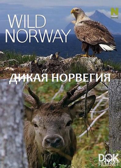 Дикая Норвегия/ Wild Norway (2017)