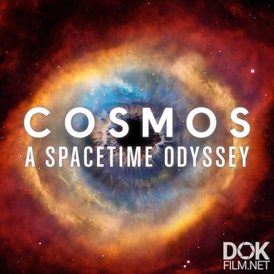 Космос: Пространство и время/ Cosmos: A SpaceTime Odyssey (2014)
