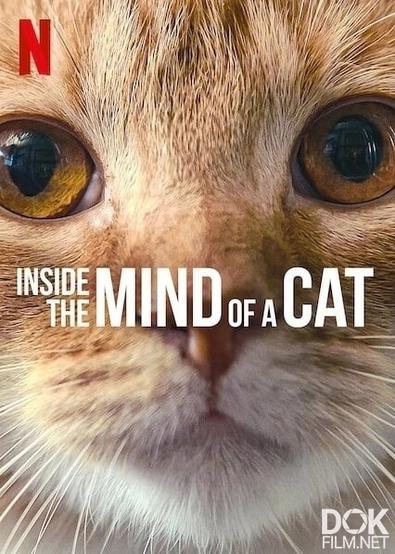 Внутри разума кошки/ Inside the Mind of a Cat (2022)