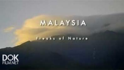 Неизведанный Индокитай: Малайзия. Причуды Природы/ Wildest Indochina: Malaysia. Freaks Of Nature (2014)