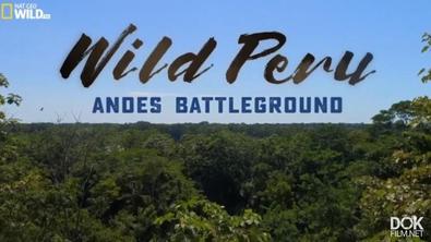 Дикая Природа Перу: Арена Боев - Анды/ Wild Peru: Andes Battleground (2018)