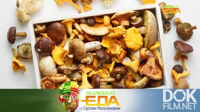 Живая еда. Необычные грибные заготовки, полезные блюда из баклажанов и все о натуральных уксусах (2023)