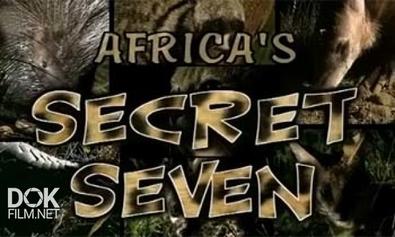 Тайная Семерка Африки / Africa\'S Secret Seven (2003)