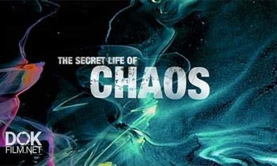 Тайная Жизнь Хаоса / The Secret Life Of Chaos (2010)