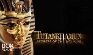 Тутанхамон. Секреты Юного Фараона / Tutankhamun. Secrets Of The Boy King (2006)