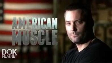 Стальные Мышцы / American Muscle (2014)