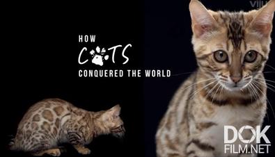Как собаки и кошки захватили мир/ How Dogs And Cats Conquered The World/ Comment le chien a conquis le monde (2020)