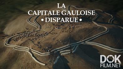 Бибракта - тайны затерянного города галлов/ La capitale gauloise disparue (2020)