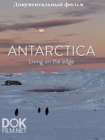 Антарктика. Живущие На Грани/ Antarctica. Living On The Edge (2016)
