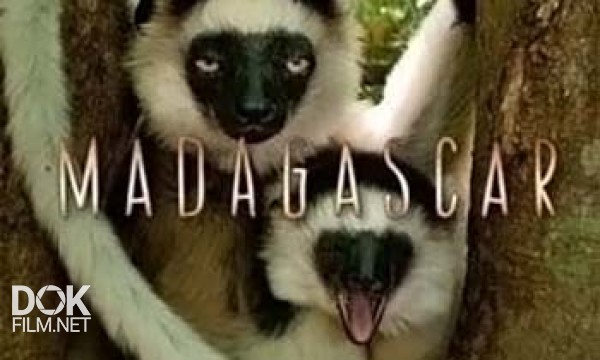 Мадагаскар / Madagascar (2011)