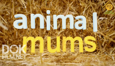 Заботливые Мамы/ Animal Mums (2015)