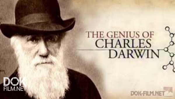 Гений Чарльза Дарвина / The Genius Of Charles Darwin (2008)