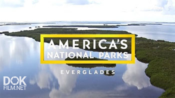 Национальные Парки Америки. Эверглейдс / America\'S National Parks. Everglades (2015)