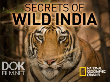 Тайны Дикой Природы Индии: Короли Джунглей/ Ng: Secrets Of Wild India: Kings Of The Jungle (2018)