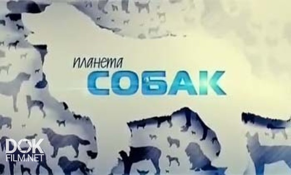 Планета Собак. Русская Пегая Гончая (2013)