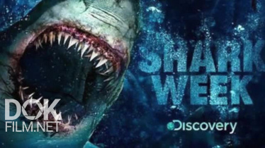 Неделя Акул / Shark Week (2018)
