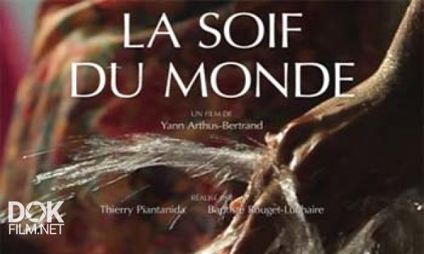 Жажда Мира / La Soif Du Monde (2012)