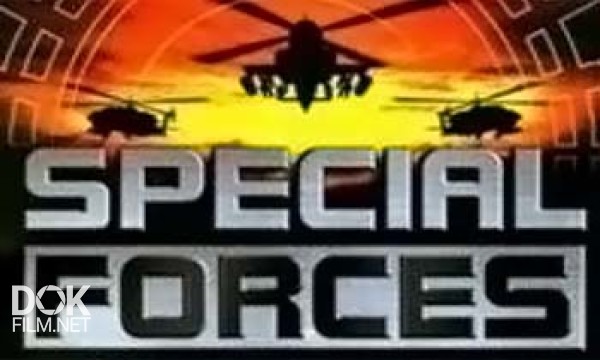 Спецподразделения / Special Forces (2011-2014)