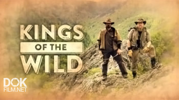 Дикая Кухня / Kings Of The Wild (2015)