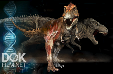 Новый Взгляд На Тираннозавра/ Rediscovering T. Rex (2018)