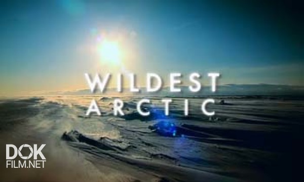 Дикая Арктика / Суровая Арктика / Wildest Arctic (2012)