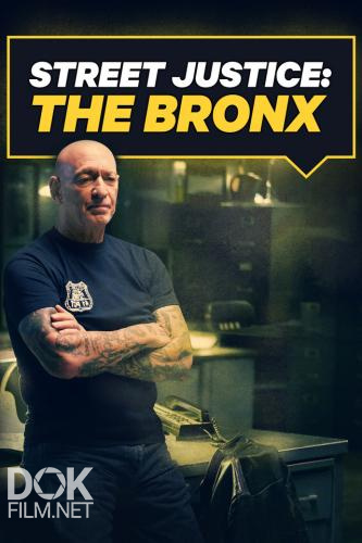Уличные Войны / Street Justice: The Bronx (2017)