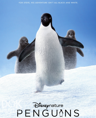 Пингвины/ Penguins (2019)