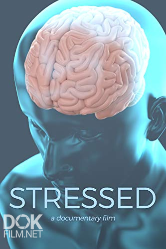 В Состоянии Стресса/ Stressed (2019)