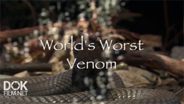Самый Сильный Яд В Мире / World\'S Worst Venom (2007)