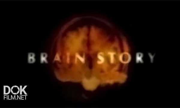 Тайны Мозга / Brain Story (2005)