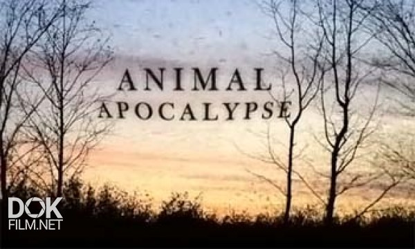 Паранормальное. Апокалипсис Животных / Paranatural. Animal Apocalypse (2012)