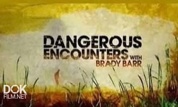 Опасные Встречи / Dangerous Encounters (2006-2011)