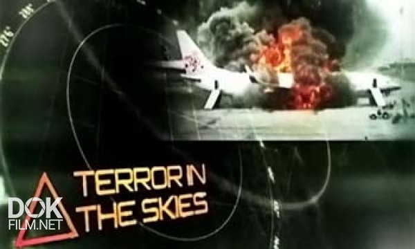 Ужас В Небесах. Ошибка Пилота / Terror In The Skies. Pilot Error (2013)