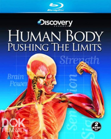 Тело Человека. Грани Возможного. Как Работает Наше Зрение/ Human Body: Pushing The Limits. Sight (2008)