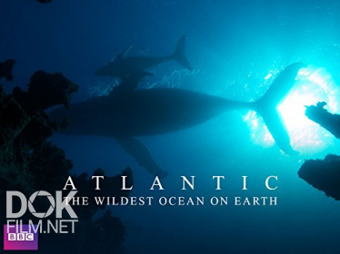 Атлантика: Самый Необузданный Океан На Земле/ Atlantic: The Wildest Ocean On Earth (2015)