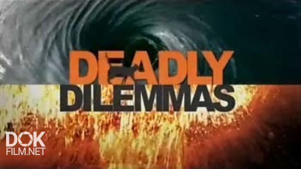 Убийственные Дилеммы / Deadly Dilemmas (2013)