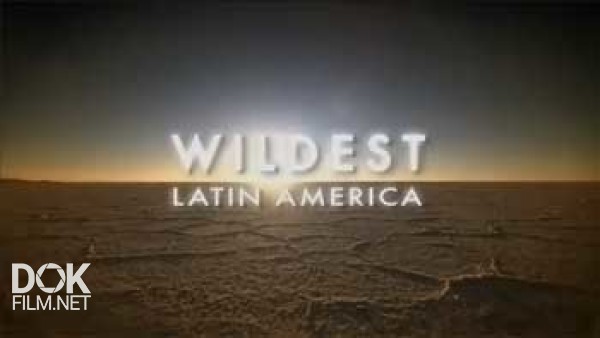 В Дебрях Латинской Америки / Wildest Latin America (2012)