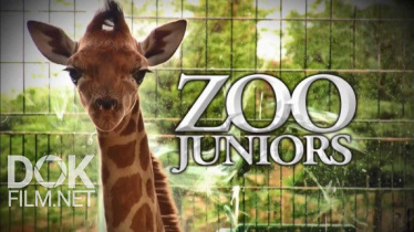 Новорожденные В Зоопарке/ Zoo Juniors (2016)