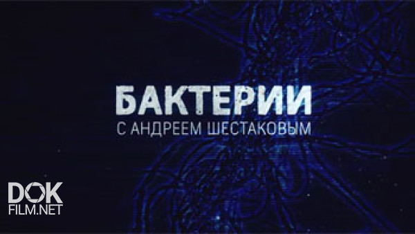 Бактерии С Андреем Шестаковым (2016)