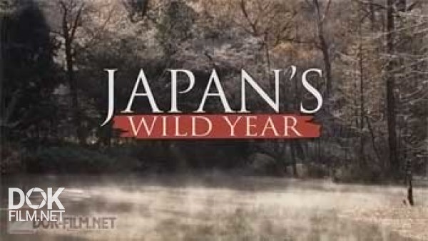 Дикие Животные Японии / Japan\'S Wild Year (2014)