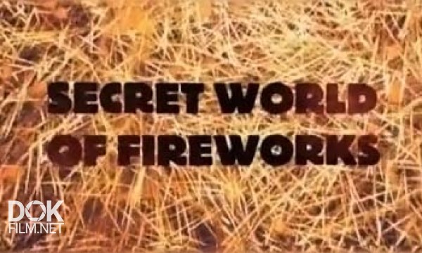 Неразгаданный Мир. Секреты Пиротехники / Science Exposed. Secret World Of Fireworks (2011)