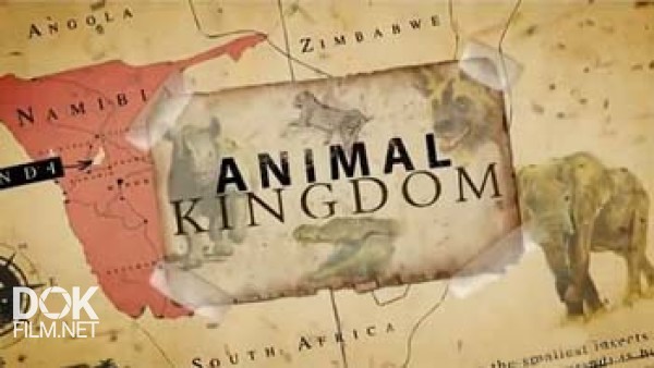 Царство Животных / Animal Kingdom (2011)