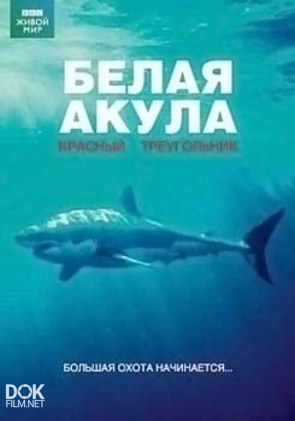 Мир Природы. Белая Акула. Красный Треугольник / Natural World. White Shark. Red Triangle (2003)