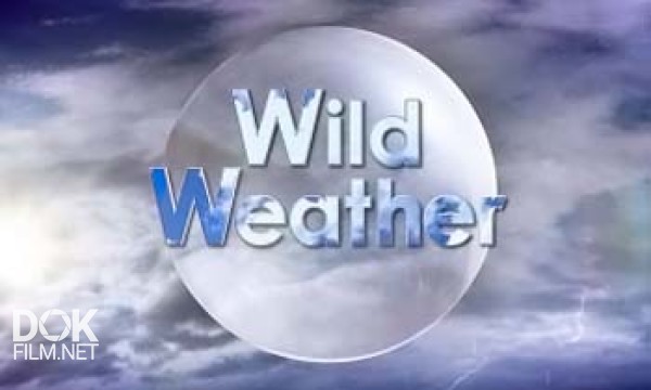 Силы Природы / Wild Weather (2002)